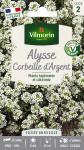 Fleurs - Alysse Corbeille d'Argent - PACKAGING_RECTO